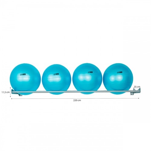 WALL MOUNTED FITNESS BALL HOLDER
